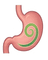 Digestion & Gut Health